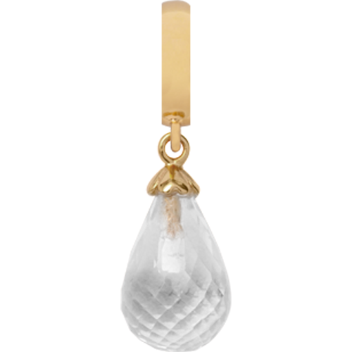 Image of 610-G01Crystal , Christina Collect Charm